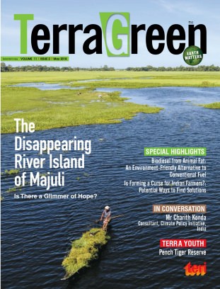 Majuli—the world's largest river island might just disappear in