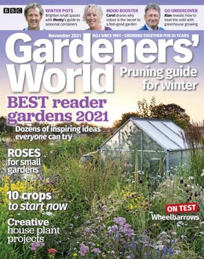 How to Grow Roses  BBC Gardeners World Magazine