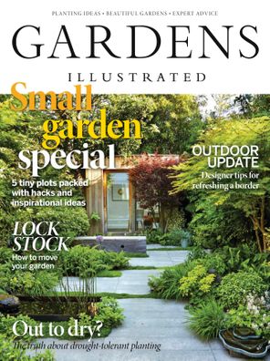 DROUGHT-TOLERANT PLANTS: EVERYTHING YOU NEED TO KNOW - Read this story