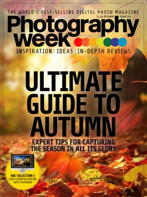 Ultimate Guide To Autumn