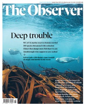 Kylie Jenner's boob job and the dark side of oversharing | The Observer