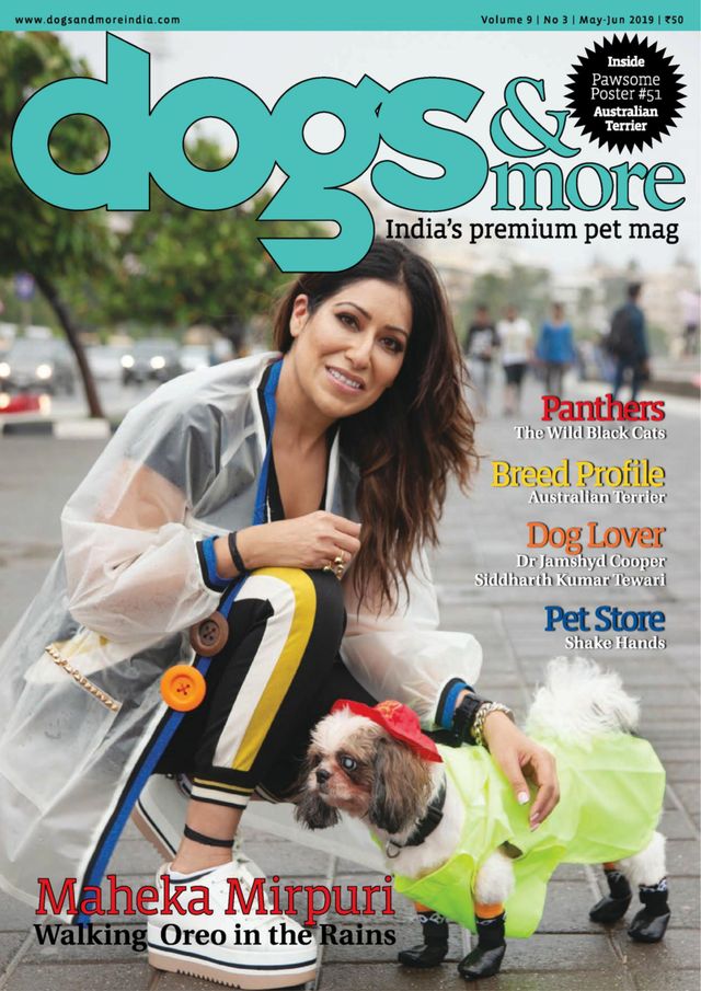 dogs & more
