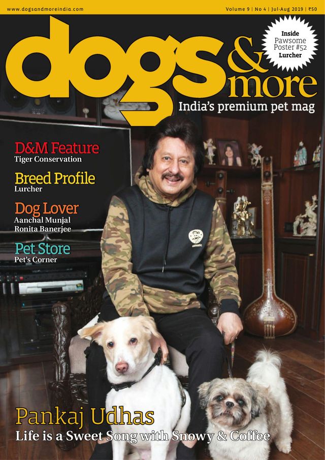 dogs & more