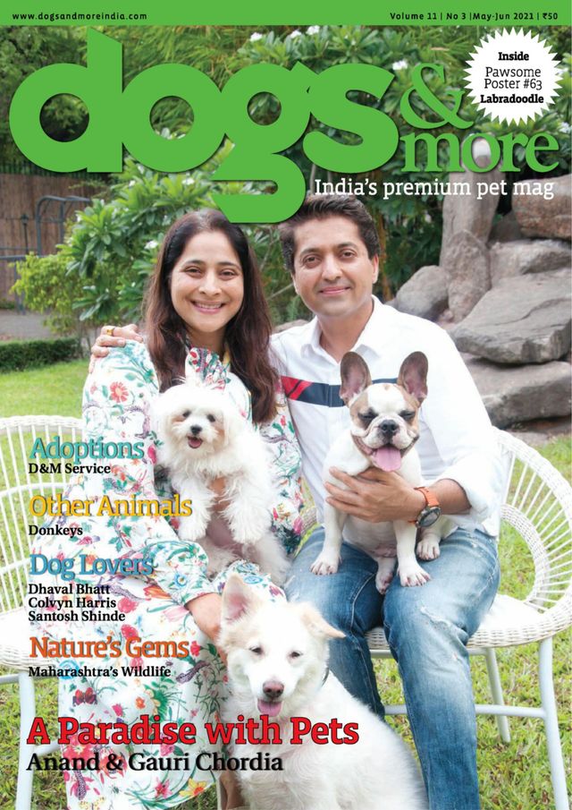 Magzter GOLDで無制限に
