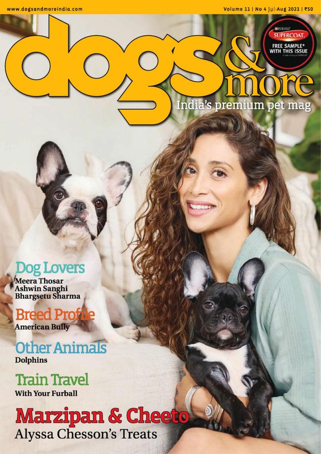 dogs & more