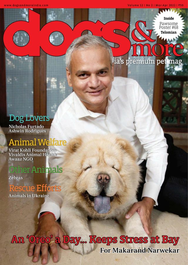 dogs & more