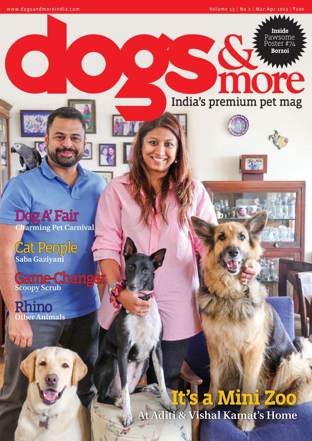 dogs & more