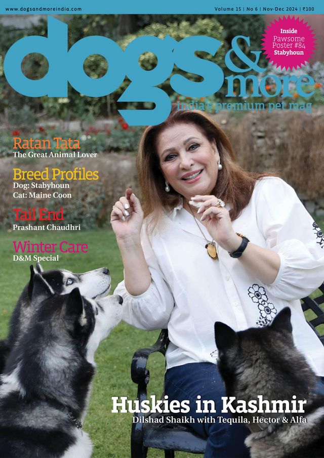 Mit Magzter GOLD unbegrenztes Potenzial nutzen