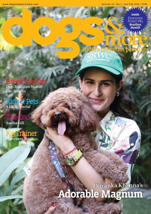 dogs & more