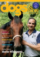 dogs & more