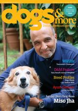 dogs & more