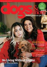 dogs & more