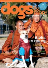 dogs & more