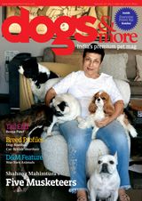 dogs & more