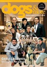dogs & more