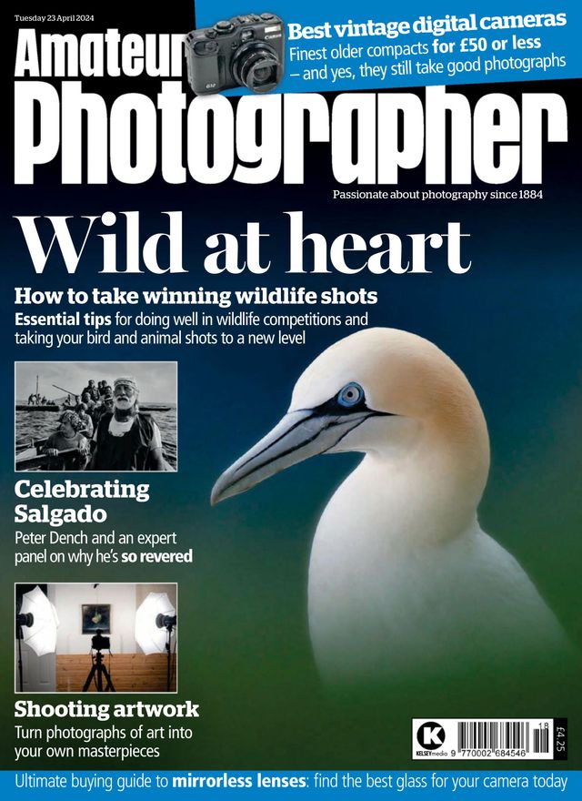 Amateur Photographer