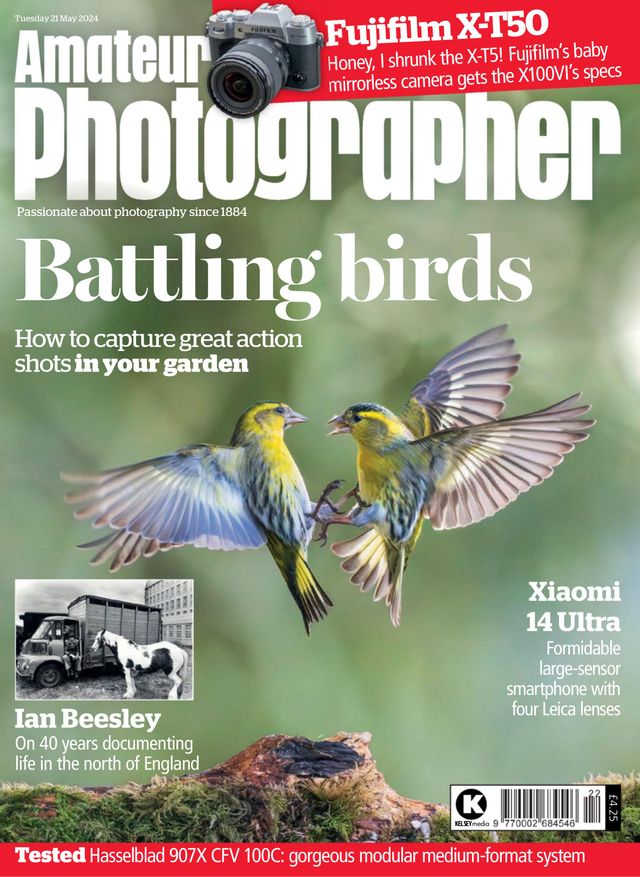 Amateur Photographer