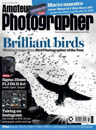 Amateur Photographer