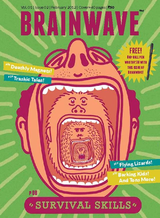 Brainwave