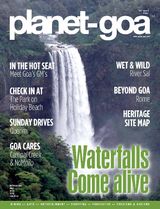 Issue 8