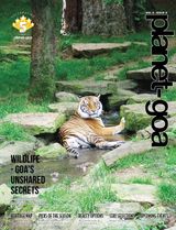 Volume 6 Issue 8