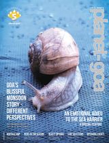 Volume 6 Issue 9