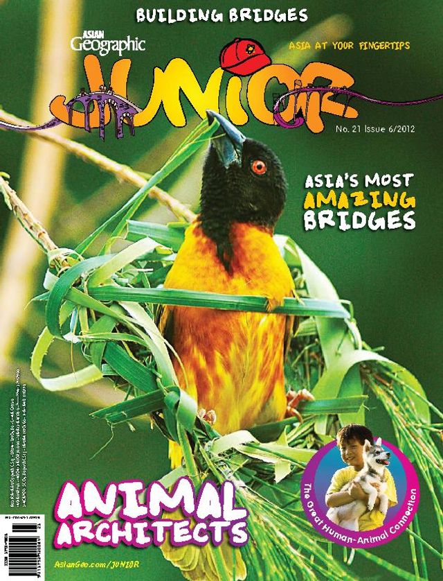 Gå ubegrenset med Magzter GOLD