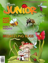 Issue 6 2011