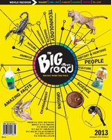 Issue 8 - 2012