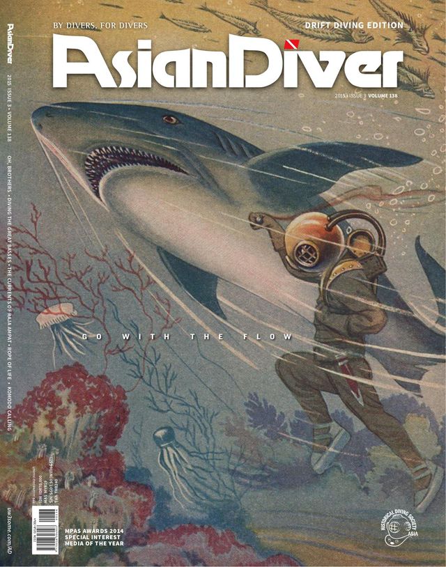 Asian Diver
