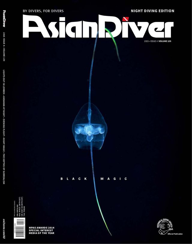 Asian Diver