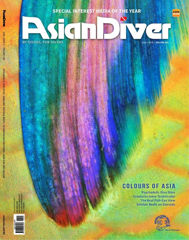 Asian Diver