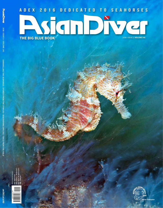 Asian Diver
