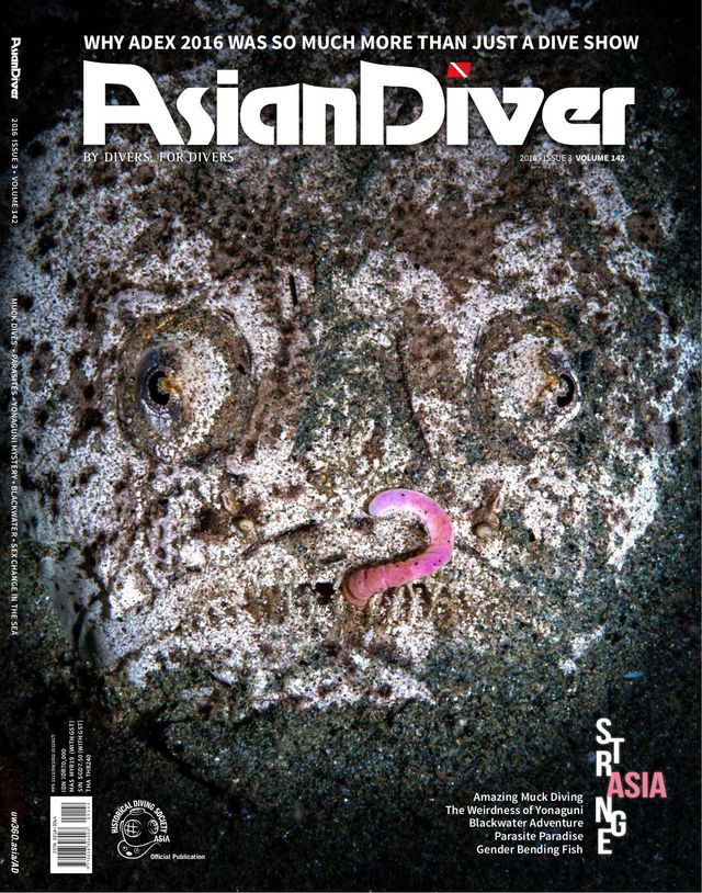 Asian Diver
