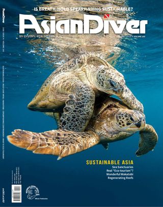 Asian Diver
