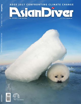 Asian Diver