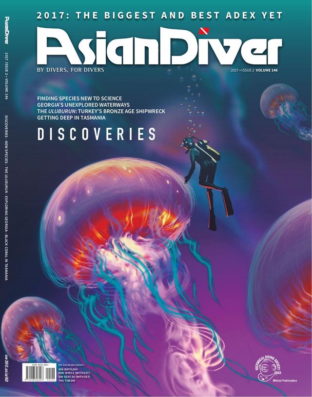 Asian Diver