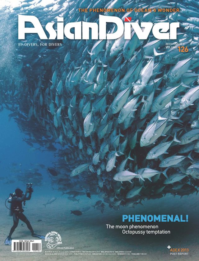 Asian Diver