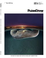 Issue 02 - 2018