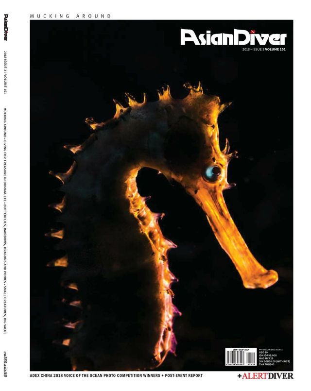 Asian Diver