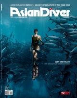 Issue 02 - 2019