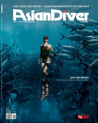 Asian Diver