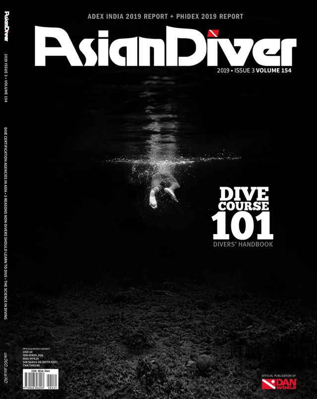 Asian Diver