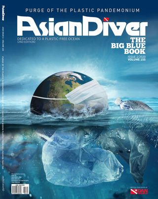 Asian Diver