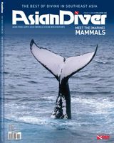 Issue 04 - 2020