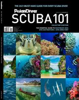 Issue 06 - 2020
