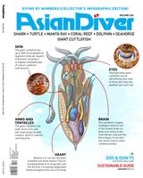 Issue 06 - 2021