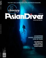 Issue 161