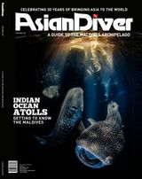 Issue 163