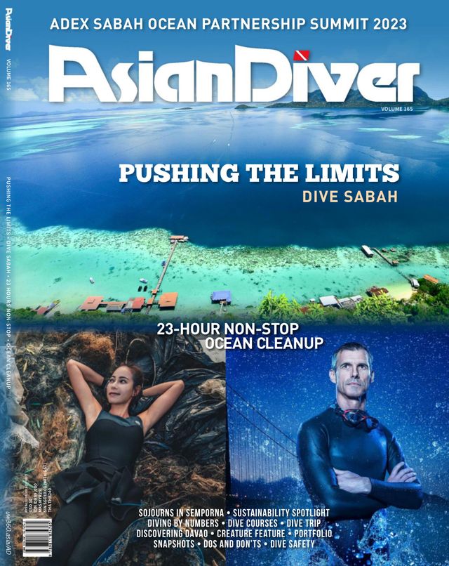 Asian Diver